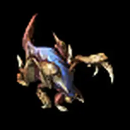Zergling